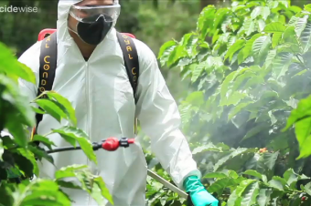 Picture curtesy of Pesticidewise.